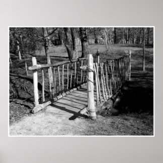 枝のブリッジ ポスター