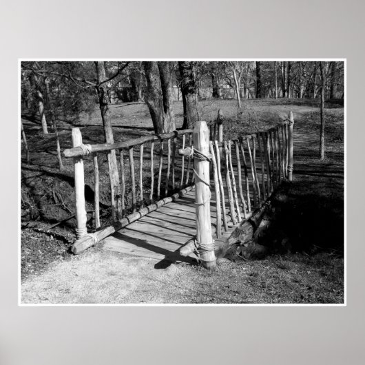 枝のブリッジ ポスター (正面)