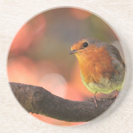 枝のロビン コースター