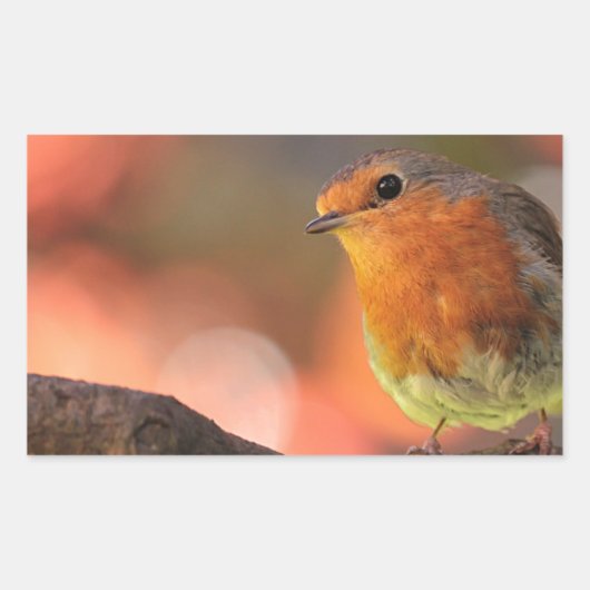 枝のロビン 長方形シール (正面)