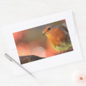 枝のロビン 長方形シール (封筒)