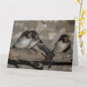 枝の上で鶏を鳴らすツバメ カード (黄色い花)