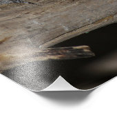 枝の上で鶏を鳴らすツバメ フォトプリント            (角)