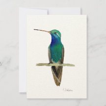 枝の上に広くちばしのあるハチドリ