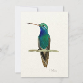 枝の上に広くちばしのあるハチドリ