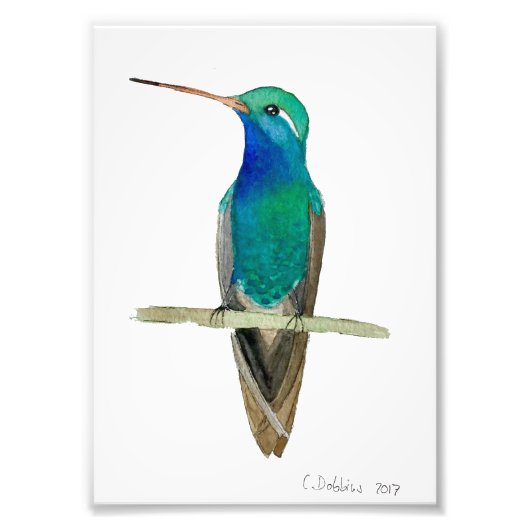 枝の上に広くちばしのあるハチドリ フォトプリント            (正面)
