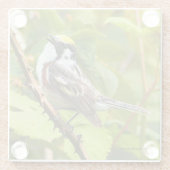 枝の上に栗の側の鶯の鳴き鳥 ガラスコースター (裏面)