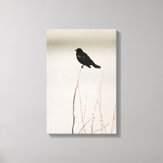 枝の上に止まった赤翼のブラックバード キャンバスプリント (正面)