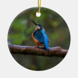 枝の上のカワセミ セラミックオーナメント