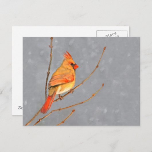 枝の上のカーディナル 絵画 - オリジナルの鳥の芸術 ポストカード (正面/裏面)