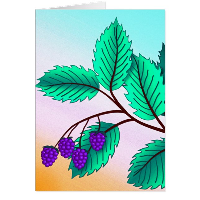 枝の上のブラックベリー (正面)