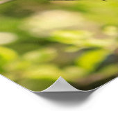 枝の上のラウンドロビン ポスター (角)