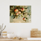 枝の上のリンゴ ポスター (キッチン)