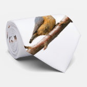 枝の上の美しい赤い胸のナサッチ ネクタイ (ロール)