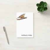 枝の上の美しい赤い胸のナサッチ ポストイット (オフィス)