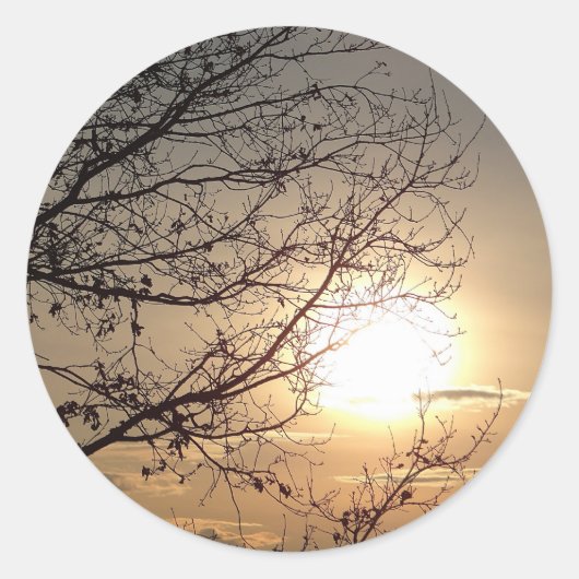 枝の付いた美しい夕日 ラウンドシール (正面)