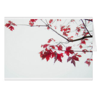 枝の赤い紅葉