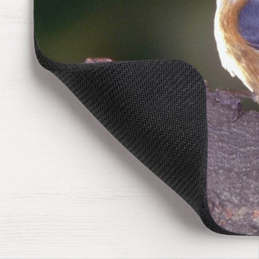 枝の赤breasted精神病院 マウスパッド (コーナー)