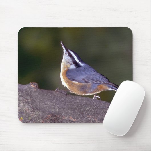 枝の赤breasted精神病院 マウスパッド (マウス)