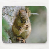 枝の間に茶色のリス – カナダの野生動物 マウスパッド (正面)