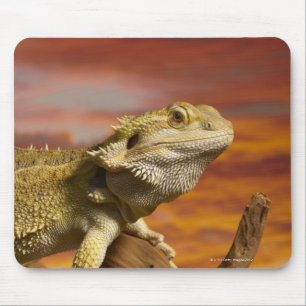枝の髭があるドラゴン(Pogona Vitticeps)、 マウスパッド