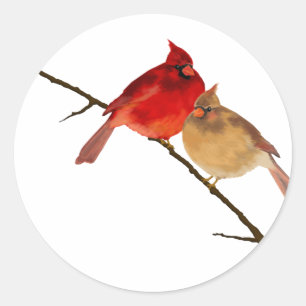 枝の(鳥)ショウジョウコウカンチョウ ラウンドシール