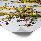 枝を覆う ポスター (角)