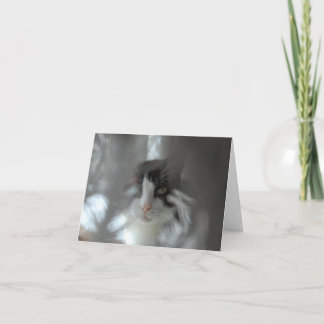 枝を通したタキシード猫 シーズンカード