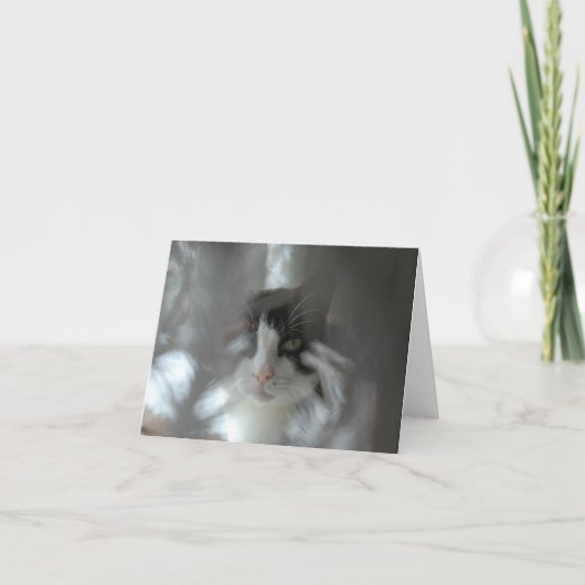 枝を通したタキシード猫 シーズンカード (正面)