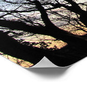 枝を通して日没する ポスター (角)