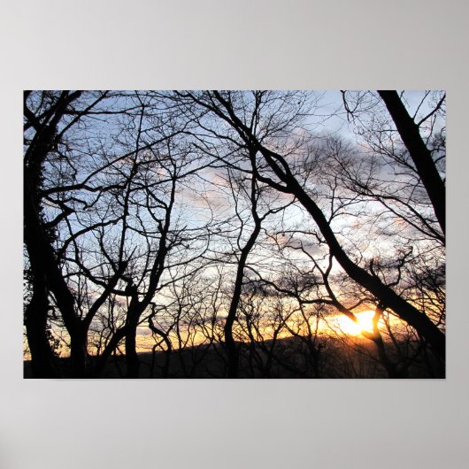枝を通して日没する ポスター (正面)