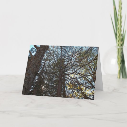 枝を通って上へ カード (正面)