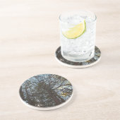 枝を通って上へ コースター (側面)