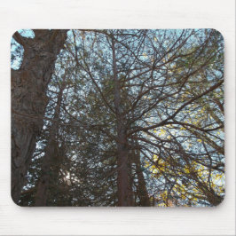 枝を通って上へ マウスパッド