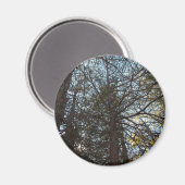 枝を通って上へ マグネット (正面/裏面)