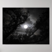 枝を通る満月 ポスター (正面)