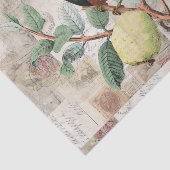 枝ヴィンテージのイタリア人のローマのティッシュペーパーの鳥 薄葉紙 (詳細)