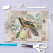 枝ヴィンテージのイタリア人のローマのティッシュペーパーの鳥 薄葉紙 (クラフト)