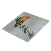 枝写真のバラ色の顔をしたラブバード タイル (側面)