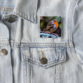 枝分かれした野生動物の芸術に没頭した太いロビン 缶バッジ (インサイチュ)