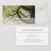 枝垂れ柳ツリー外科医US名刺 名刺 (正面/裏面)