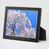 枝垂れ桜("奈良一番桜") フォトプラーク (側面)