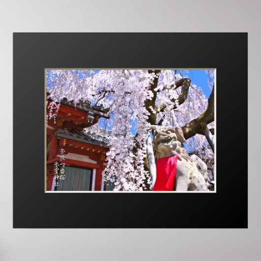 枝垂れ桜("奈良一番桜") ポスター (正面)