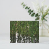 枝垂柳と池はがき ポストカード (スタンド正面)