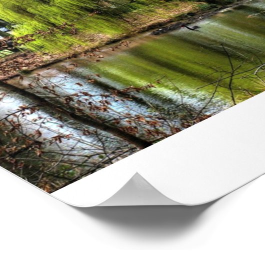 枝垂柳 ポスター (角)