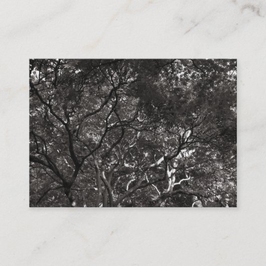 枝日本の01 名刺 (正面)