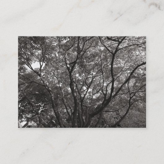 枝日本の02 名刺 (正面)