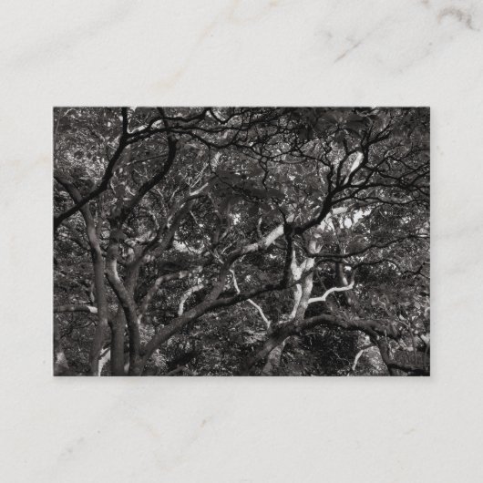 枝日本の03 名刺 (正面)