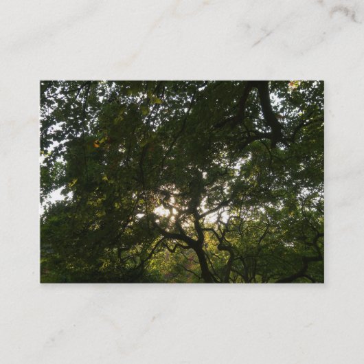 枝日本の04 名刺 (正面)