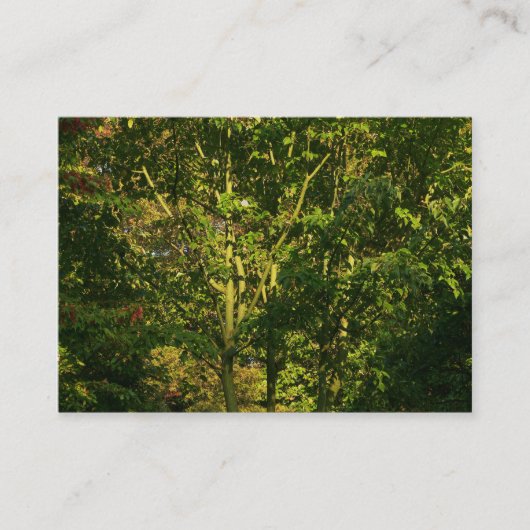 枝日本の05 名刺 (正面)